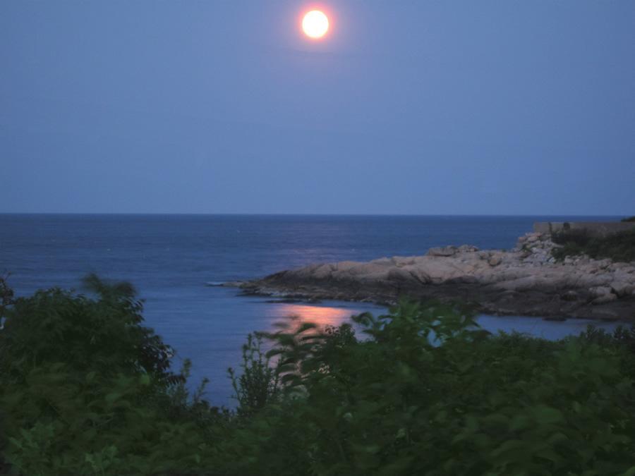 Seafarer Inn Rockport Zewnętrze zdjęcie